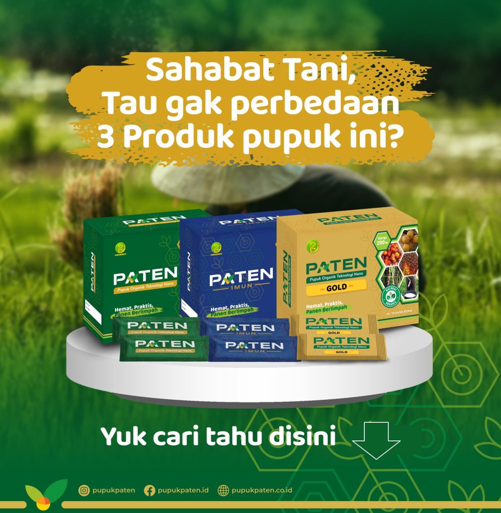 Produk 2
